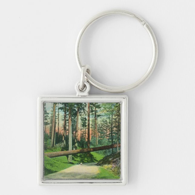 A Fallen Tree at Woodland Park Scene Key Ring (Front)