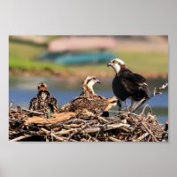 a Family Affair