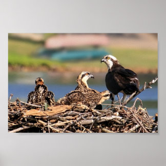 a Family Affair Poster