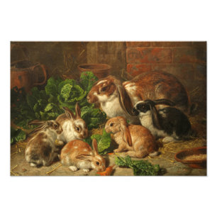 A Family of Rabbits by Alfred Richardson Barber Photo Print