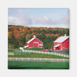 A farm in Vermont near Peacham. RELEASE Magnet