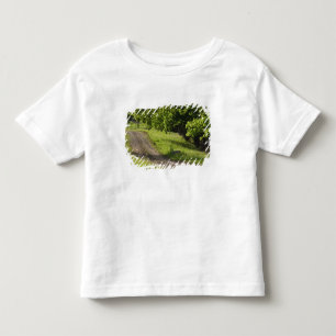 A farm road in Ipswich, Massachusetts. Toddler T-Shirt