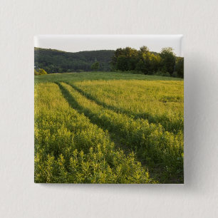 A farm road in Sabins Pasture in Montpelier, 15 Cm Square Badge