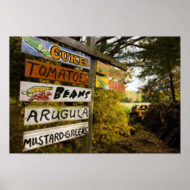 A farm stand in Holderness, New Hampshire. Poster (Front)