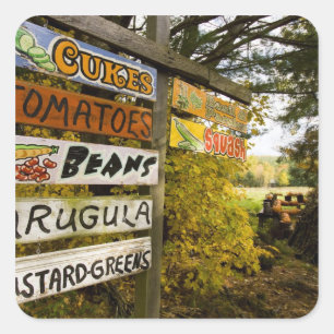 A farm stand in Holderness, New Hampshire. Square Sticker