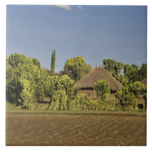 A farmed field in front of thatched roof houses ceramic tile