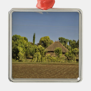 A farmed field in front of thatched roof houses metal ornament