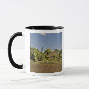 A farmed field in front of thatched roof houses mug