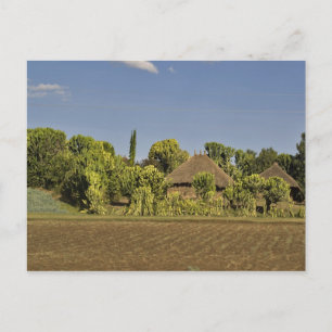 A farmed field in front of thatched roof houses postcard