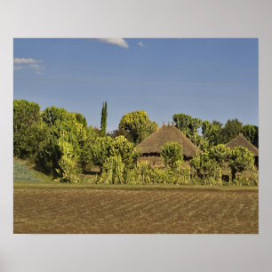 A farmed field in front of thatched roof houses poster