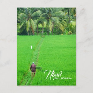 A Farmer in a Rice Field in Ubud, Bali, Indonesia Announcement Postcard