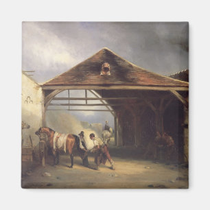 A Farrier shoeing a Horse Magnet