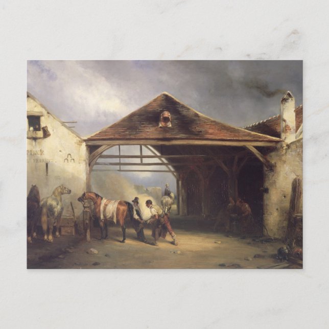 A Farrier shoeing a Horse Postcard (Front)