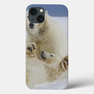 A female polar bear and her cub play in the snow iPhone 13 case