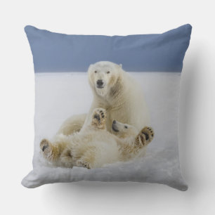 A female polar bear and her cub play in the snow cushion
