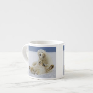 A female polar bear and her cub play in the snow espresso cup