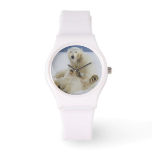 A female polar bear and her cub play in the snow watch