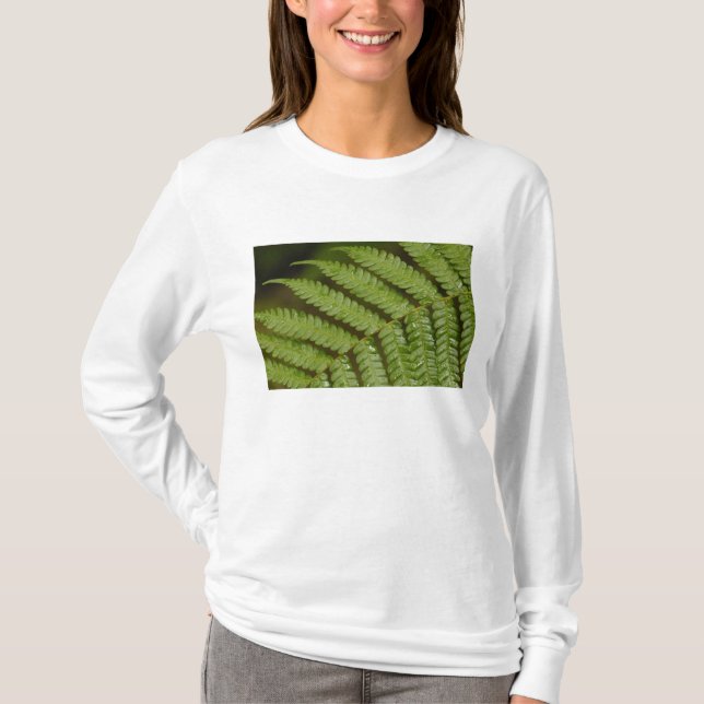 A fern detail, from Mindo Cloud Forest, T-Shirt (Front)