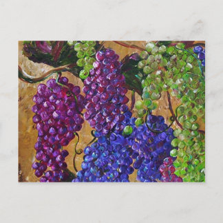 A Festival of Grapes Postcard