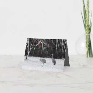 A festive holiday card featuring Sandhill Cranes