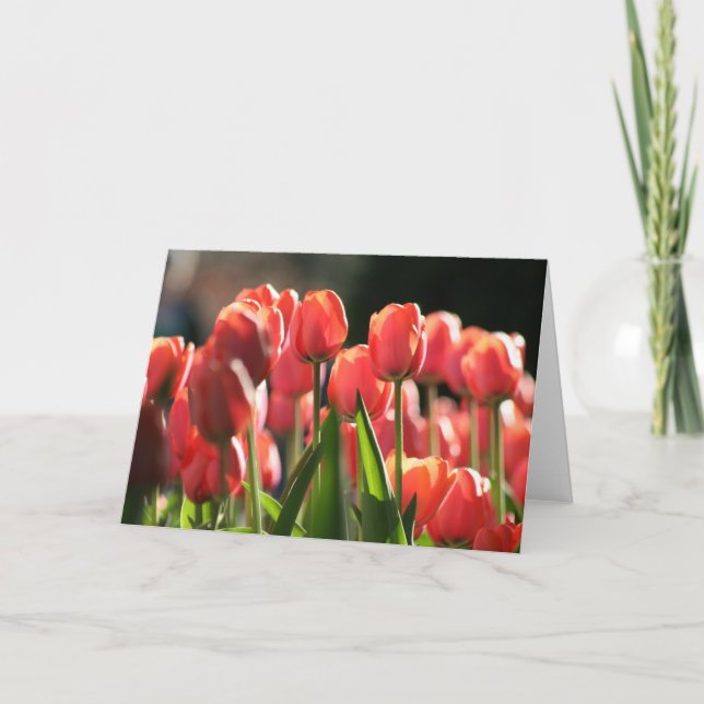 A Few Tulips in Spring Card (Front)