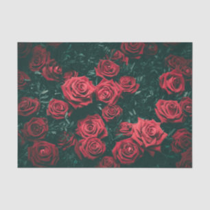 A "Field" of American Red Roses Amidst Leaves Tissue Paper