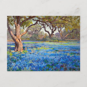 A Field of Bluebonnets at Alamo Heights, 1919 Postcard