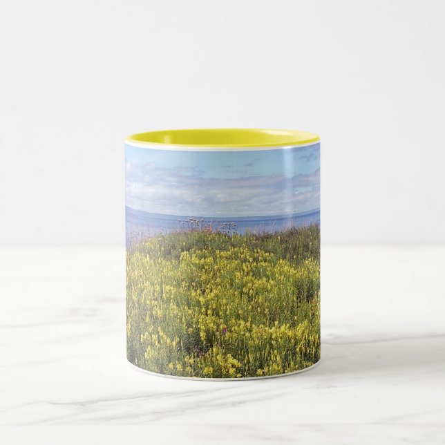 A Field Of Butter And Eggs Mug (Center)