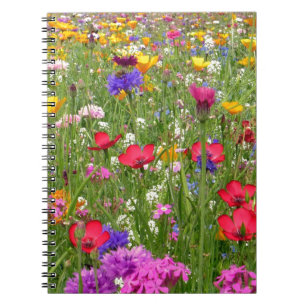 A Field Of Colourful Wildflowers Nature Design Notebook