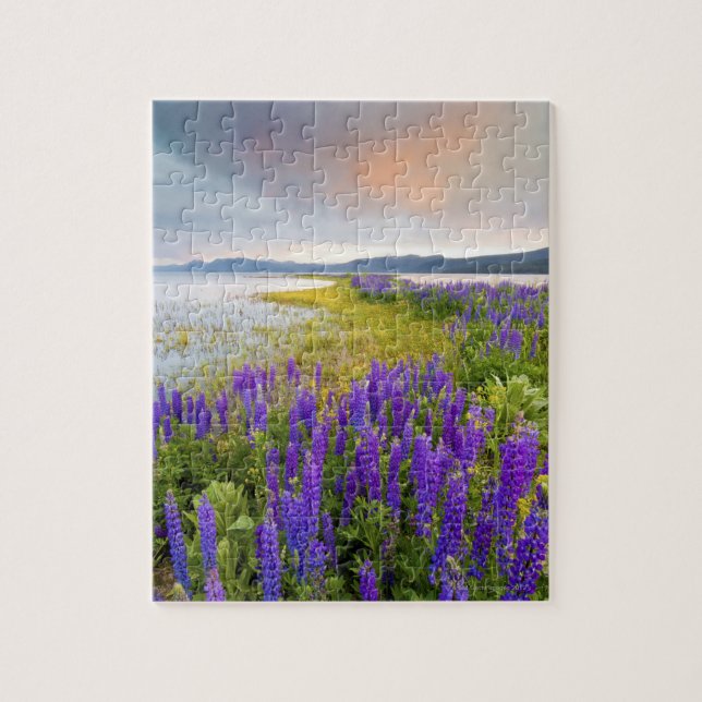 A field of Lupine wildflowers on the North Shore Jigsaw Puzzle (Vertical)