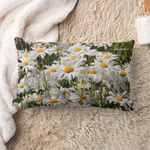 A Field of Oxeye Daisies Lumbar Cushion