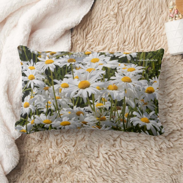 A Field of Oxeye Daisies Lumbar Cushion (Blanket)