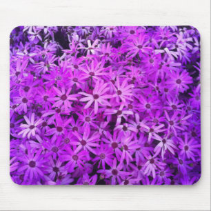 A field of Purple and Pink Daisies Mouse Pad
