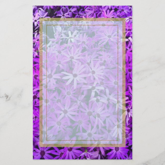 A field of Purple and Pink Daisies Stationery (Front)