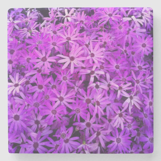 A field of Purple and Pink Daisies Stone Coaster (Front)