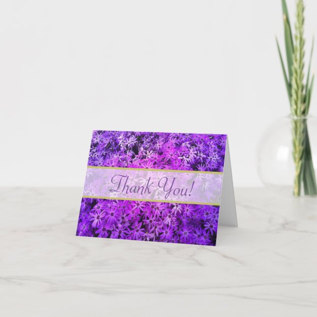 A field of Purple and Pink Daisies Thank You Card (Front)