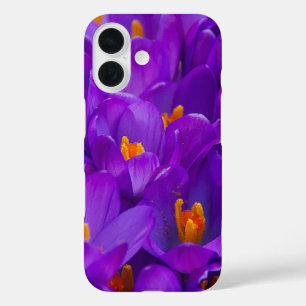 A Field of Purple Crocuses iPhone 16 Case