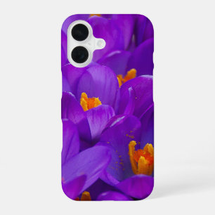 A Field of Purple Crocuses iPhone 16 Case