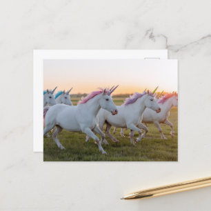 A Field of Unicorns Postcard