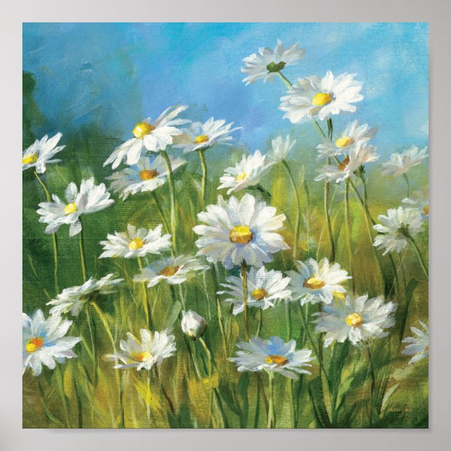 A Field of White Daisies Poster (Front)