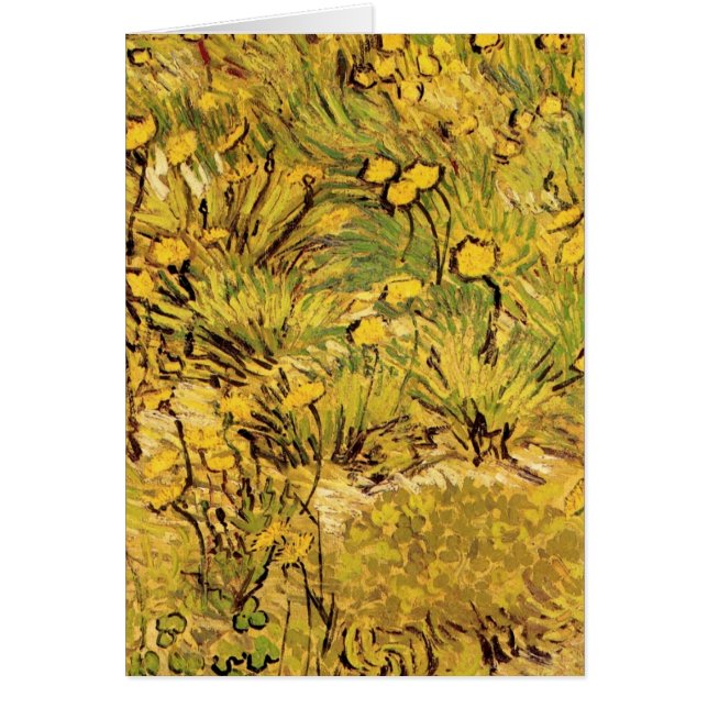 A Field of Yellow Flowers by Vincent van Gogh (Front)