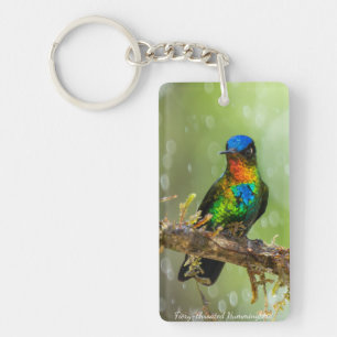 A Fiery-throated Hummingbird in the Cloud Forest Key Ring