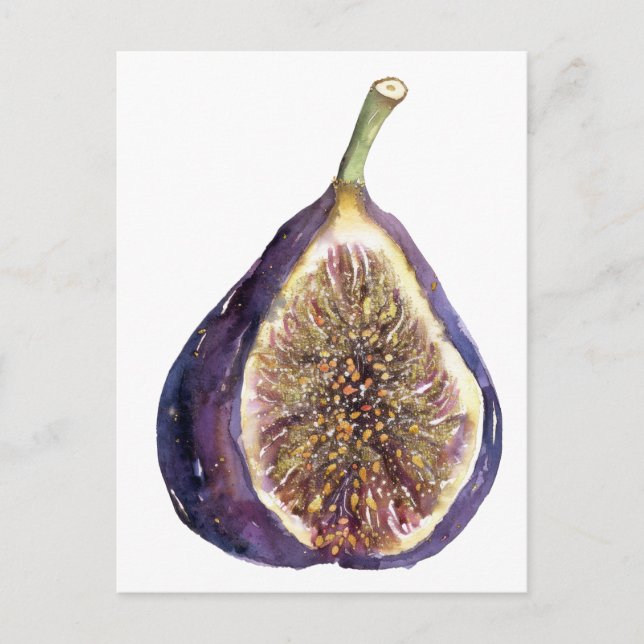 A Fig Painting Postcard (Front)