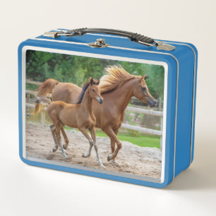 A Filly and her Mum Metal Lunch Box