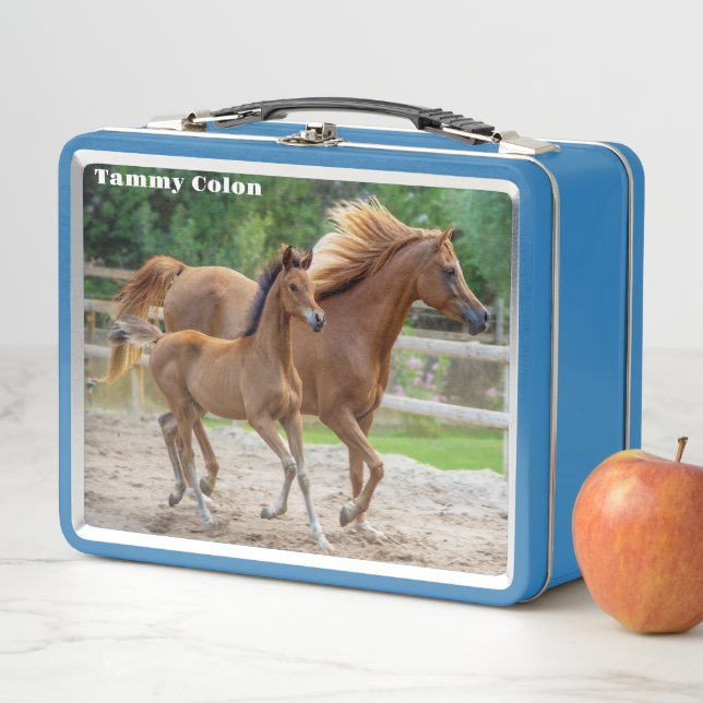 A Filly and her Mum  Metal Lunch Box (In Situ)