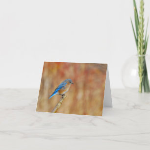 A Fine Fall Afternoon (blank) Card