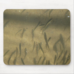 a fishy story mouse pad