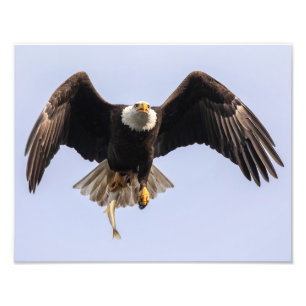 A Fistful Of Fish Photo Print