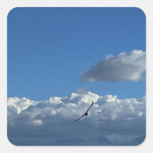 A flight under the clouds square sticker