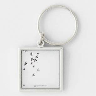 A flock of birds is flying at the sky key ring